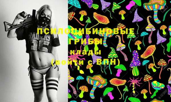 гидропоника Аркадак