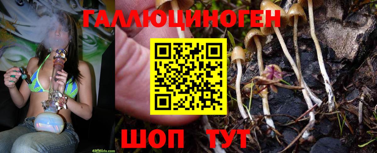 Коряжма  Псилоцибиновые грибы мухоморы  Вход с VPN  Псилоцибиновые грибы мицелий 